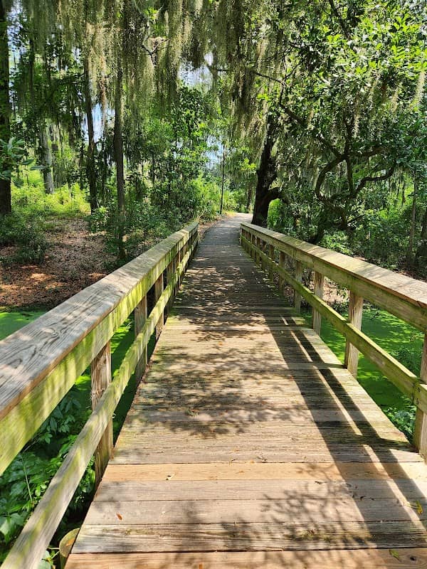 Cypress Wetlands - Image 2