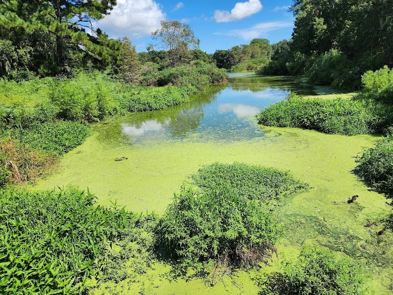 Cypress Wetlands - Image 1