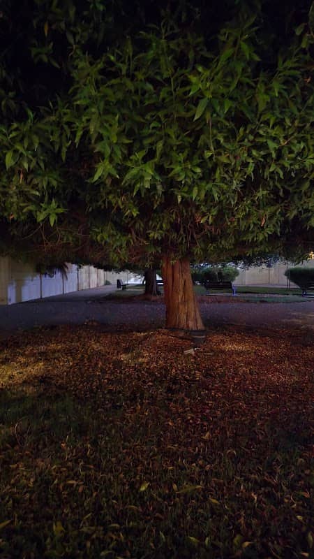 Garden - Image 1