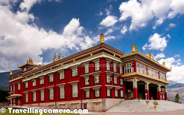Golden Wolf tourism - Image 1