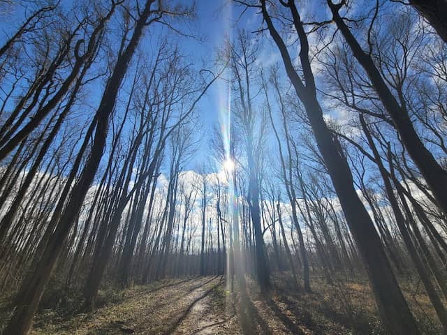 Shearness Tower Trail - Image 1