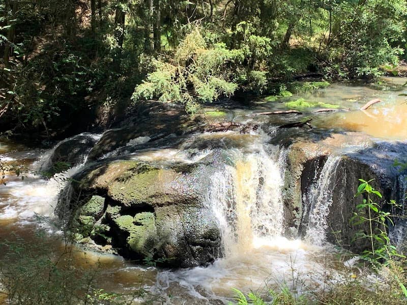 Morrinsville River Walk - Image 1