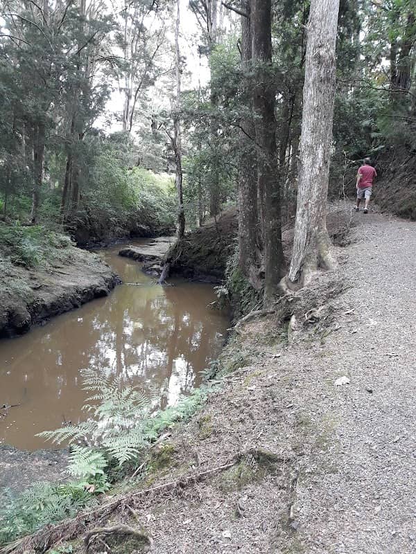Morrinsville River Walk - Image 2