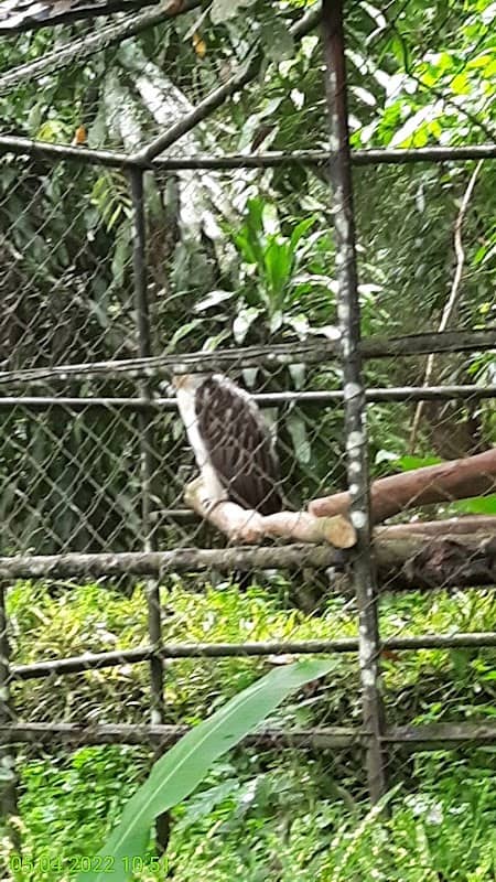 Bird Park - Image 3