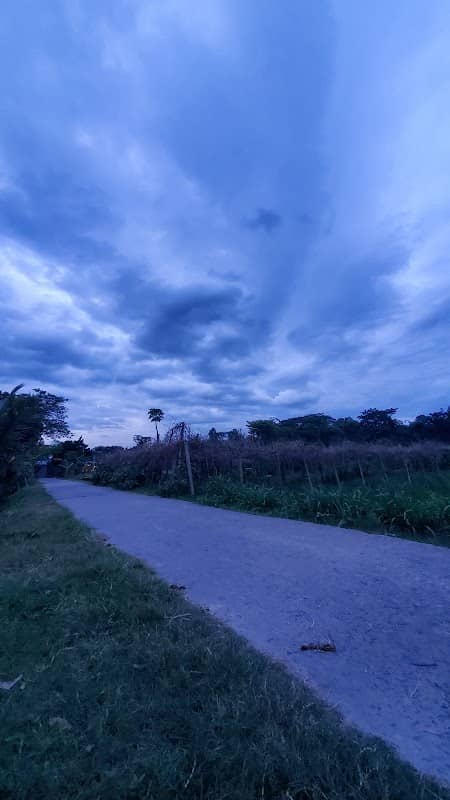 বকুলতলা,রহিমদী,কবরস্থান - Image 1