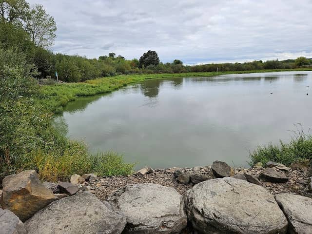 Fernhill Wetlands Visitor Station - Image 3
