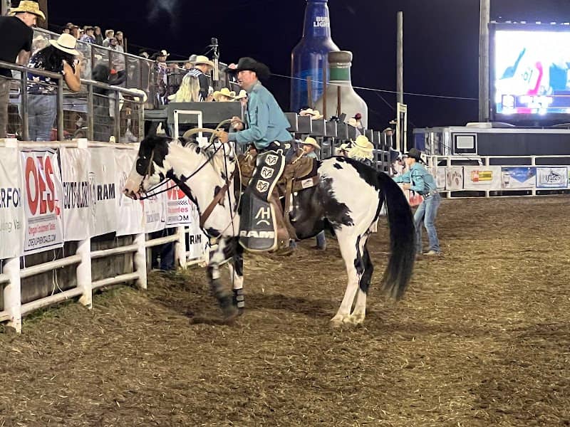 Molalla Rodeo Arena - Image 2