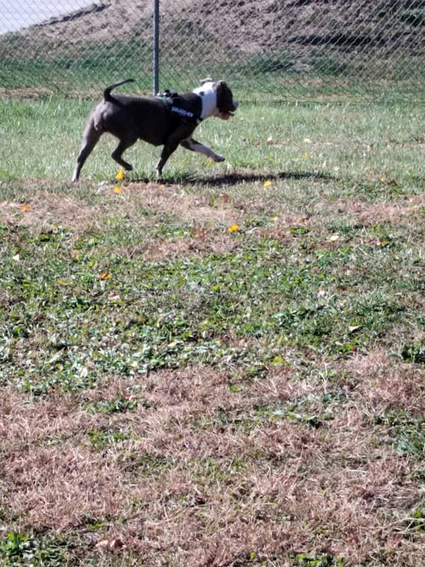 Hollenback Park - Image 1