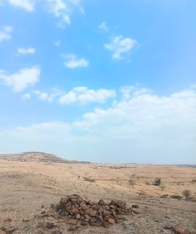 home - Image 1