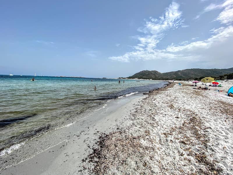 Spiaggia delle dune - Image 1
