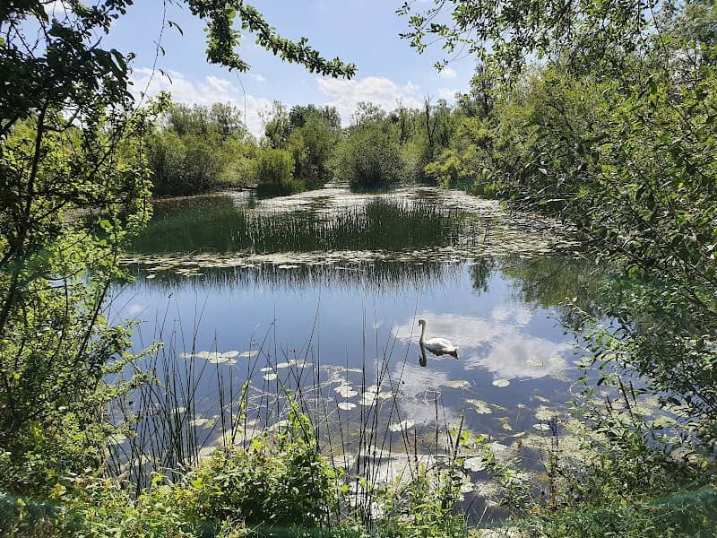 Felmersham Gravel Pits - Image 1