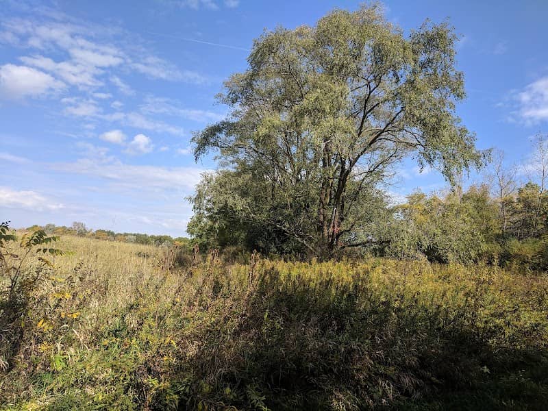 Arthur L. Janura Preserve - Image 1