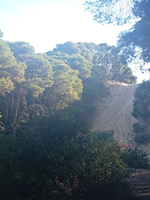 Rimel - Image 1