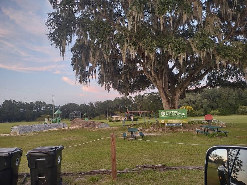 Cornelius Williams Park - Image 1