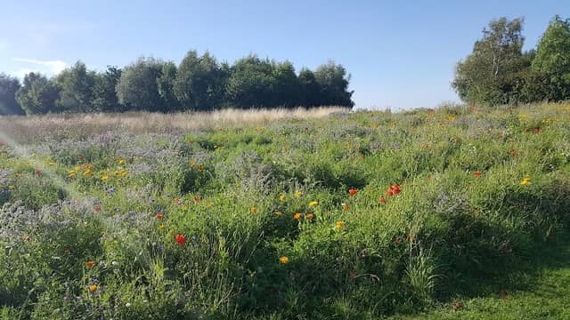 Foxfield Country Park - Image 2