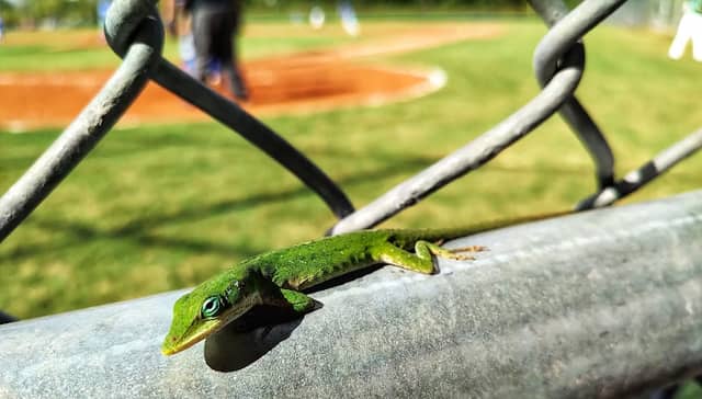 Bob Sorenson Park - Image 2
