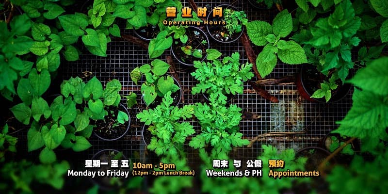 Great Gourd Herbal Garden - Image 1