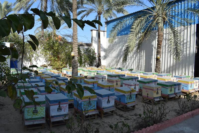 مناحل جواد - Image 1