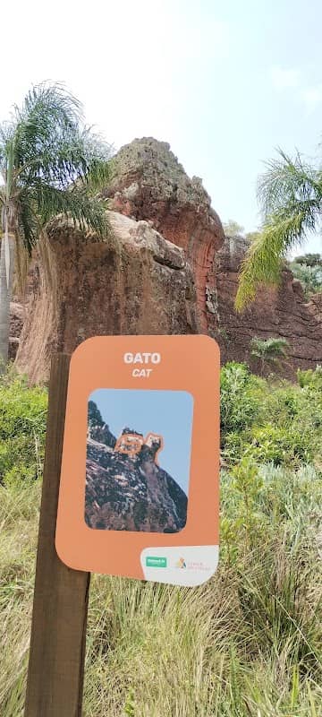 Gato - Image 1