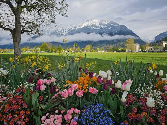Höhematte Park - Image 3