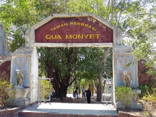 Goa Tourism Monkey - Image 2