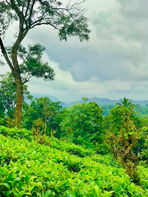 කහගලේ ගල - Image 1