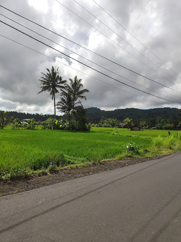 Subak Sibetan - Image 3