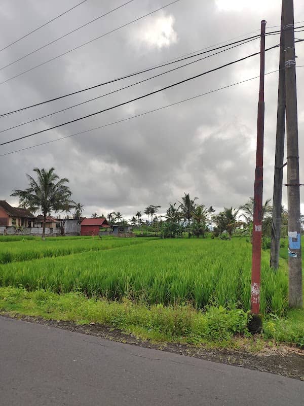 Subak Sibetan - Image 2