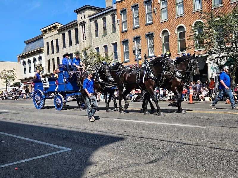 Delaware County All Horse Parade - Image 1