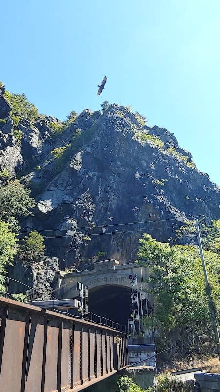 Maryland Heights Tunnel - Image 2