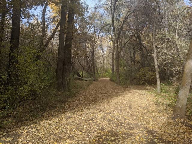 The Gailey Trail at Nicholls Park - Image 2