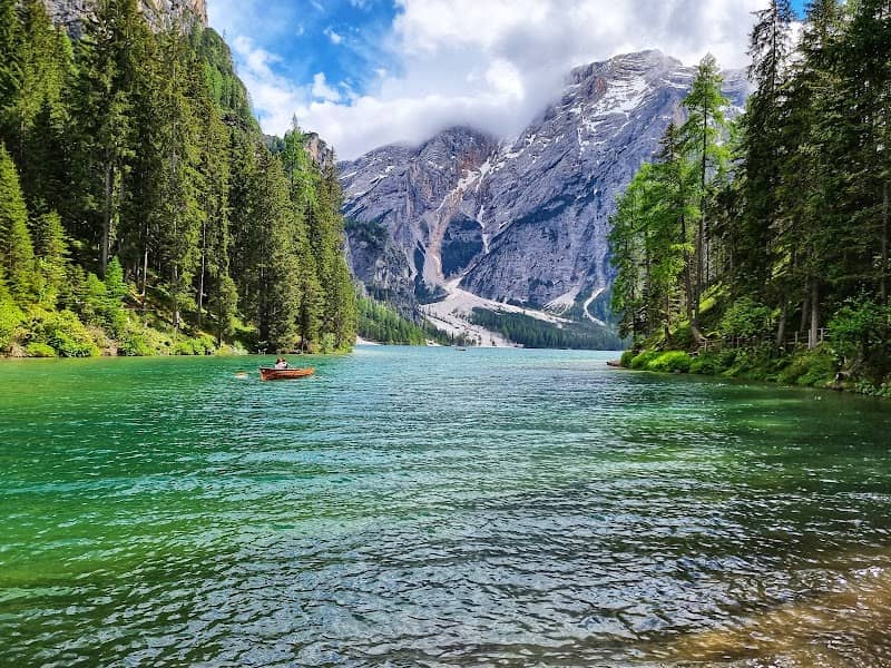 Inizio sentiero per Malga Foresta - Image 1