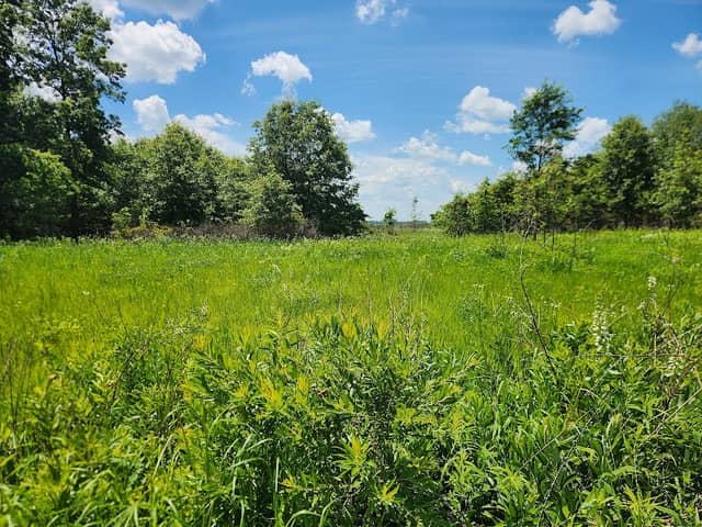 Spinn Prairie Nature Preserve - Image 2