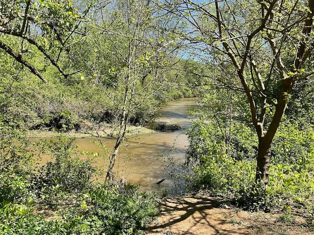 River Walk Picnic Area - Image 2