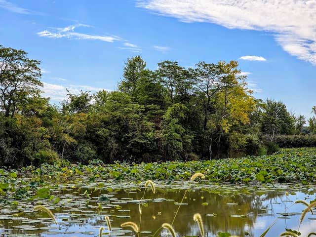 Little Portage Wildlife Reserve - Image 1