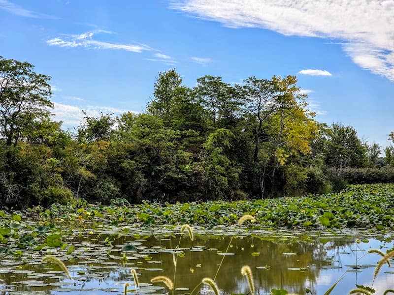 Little Portage Wildlife Reserve - Image 1