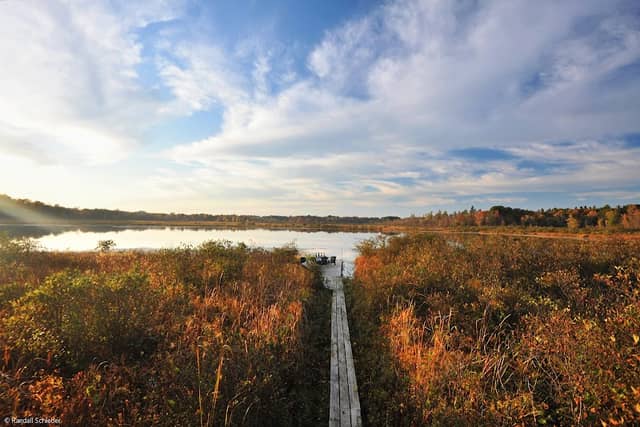 Lucia S. Nash Preserve - Image 2