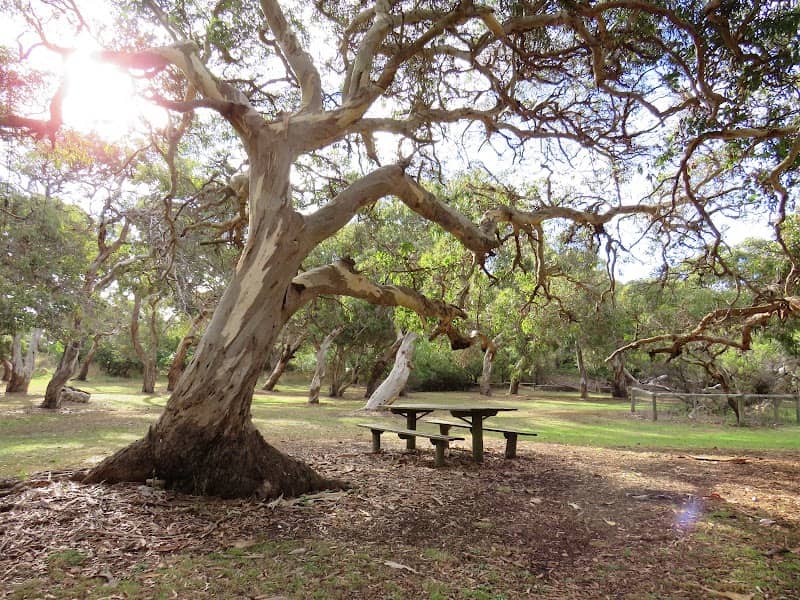 Clarke Park Picnic Reserve - Image 1