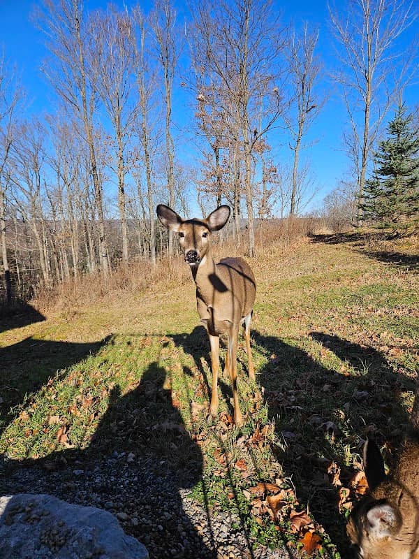 Haliburton Rail Trail - Image 2