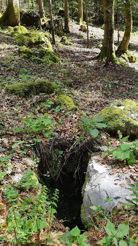 Dihalnik pri Jelenci - Image 2