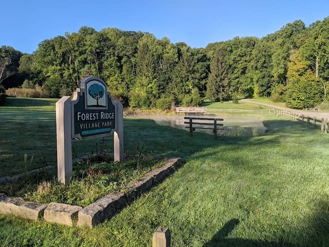 Forest Ridge Preserve - Image 2