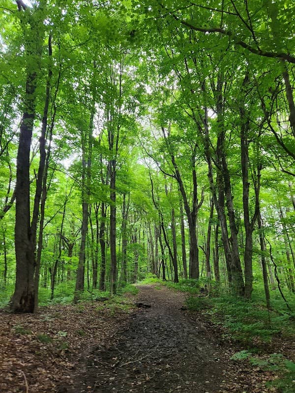 Forest Ridge Preserve - Image 1