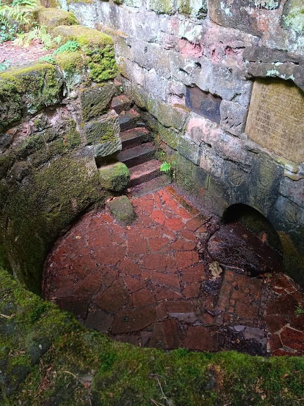 Buchenklinge - Image 1