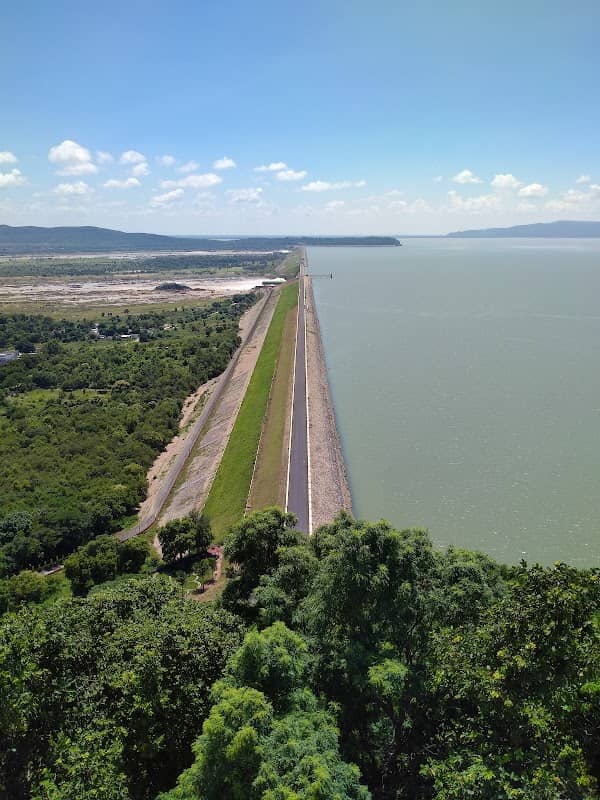View From Tower - Image 1