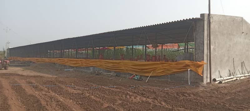 अनुराधा पोल्ट्री फार्म - Image 1