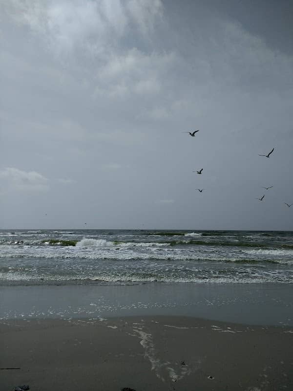 Elmer's Island Beach - Image 2