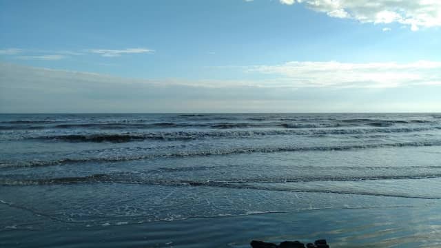 Elmer's Island Beach - Image 1