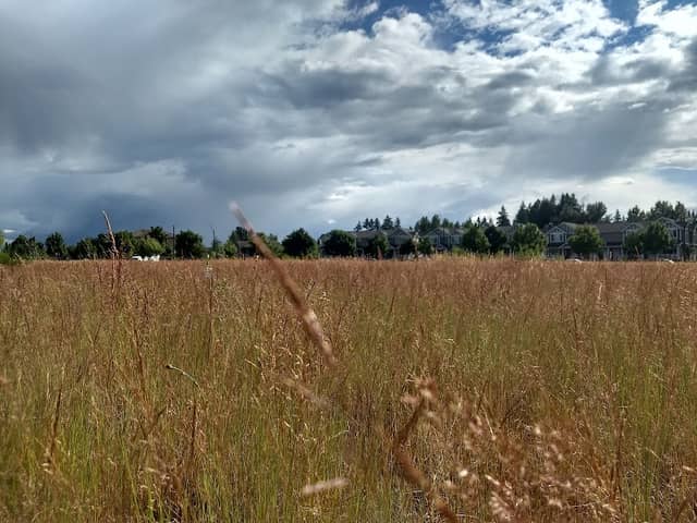 Kettle View Park - Image 2