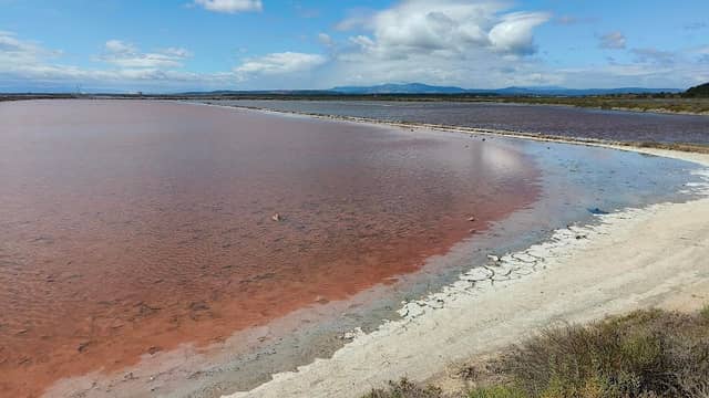 Salin de reprise - Image 1