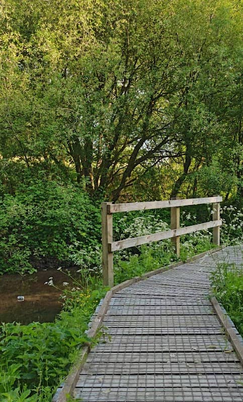 Boarshaw Clough Nature Reserve - Image 1